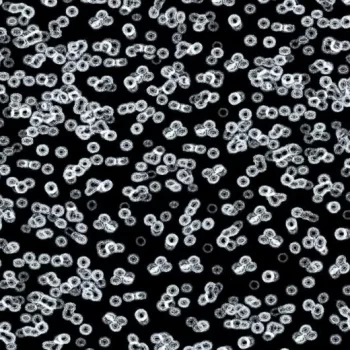 flotex sottsass – 990106 Bacteria