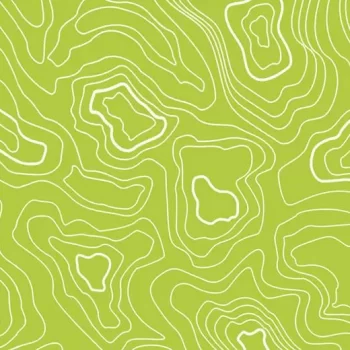sarlon 19db graphic – 928T4319 lime topography