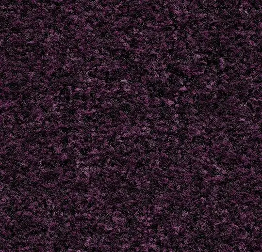 coral fr – 5739FR Coral Brush FR byzantine purple