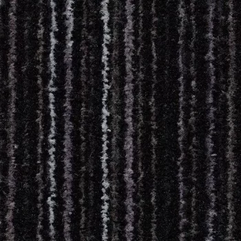 coral welcome – 3210 black magic