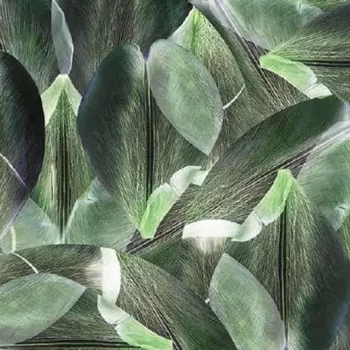flotex vision floral – 001589 Tulip Field Green