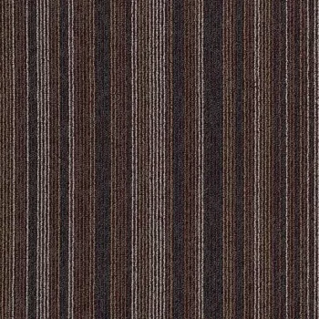 tessera barcode – 312 starting line