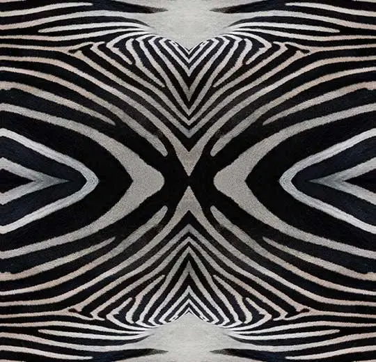 flotex vision image – 000402 zebra