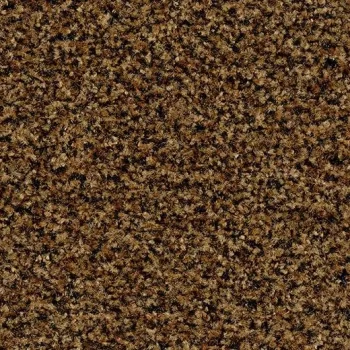 coral brush – 5716 masala brown