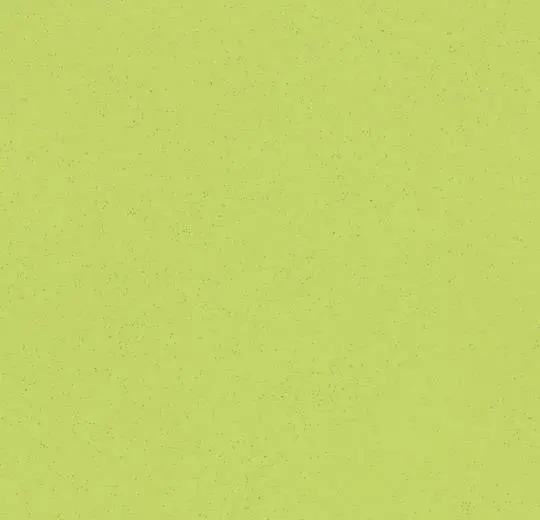 eternal colour – 40612 yellow green