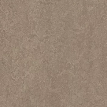 marmoleum decibel – 324635 shrike