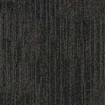 tessera inline – 880 nucleus