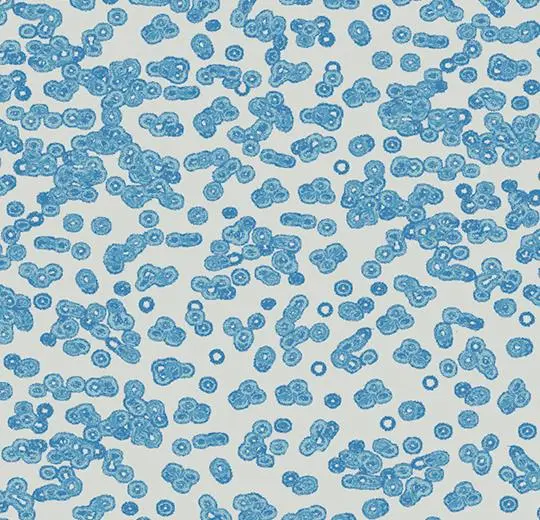 flotex sottsass – 990202 Bacteria