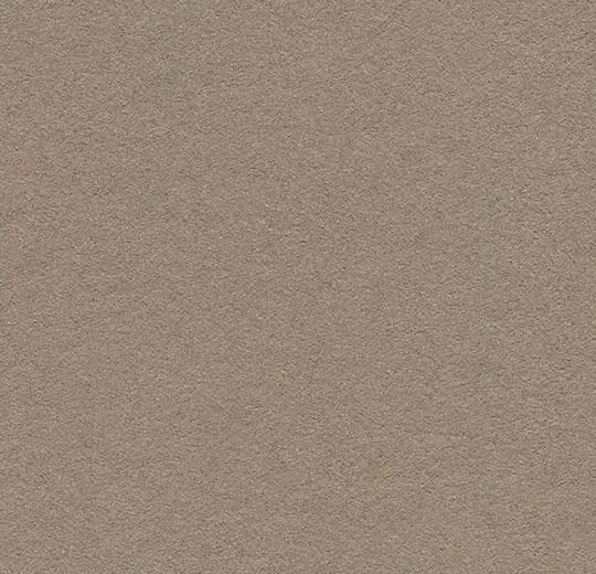 bulletin board – 2208 mushroom medley