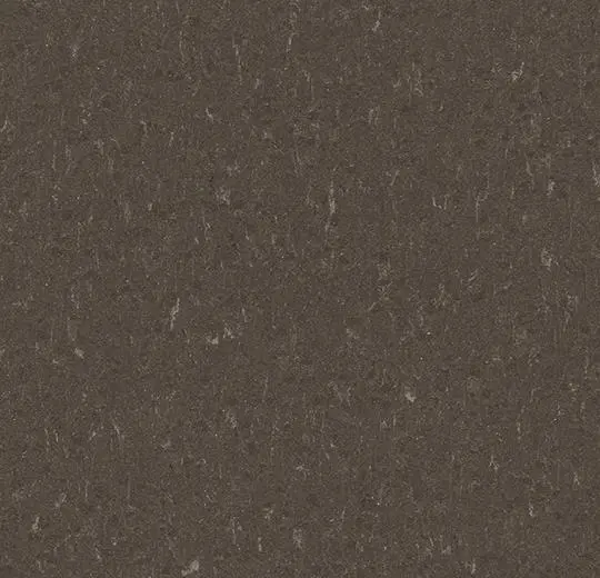 marmoleum solid – 3632 sealion