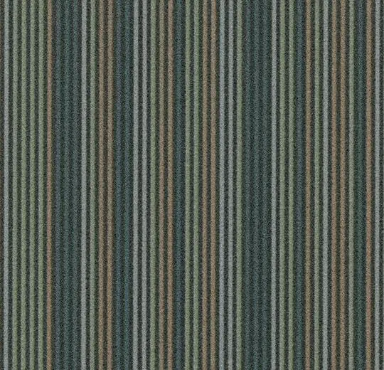 flotex linear karo – t550008 Complexity forest