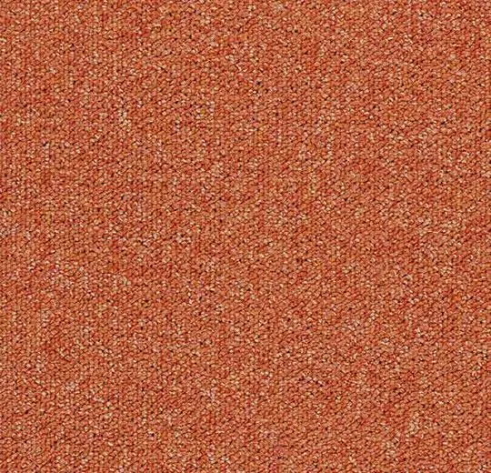tessera basis pro – 4209 clementine