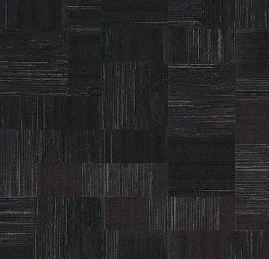 coral interior – 1530 midnight shadow