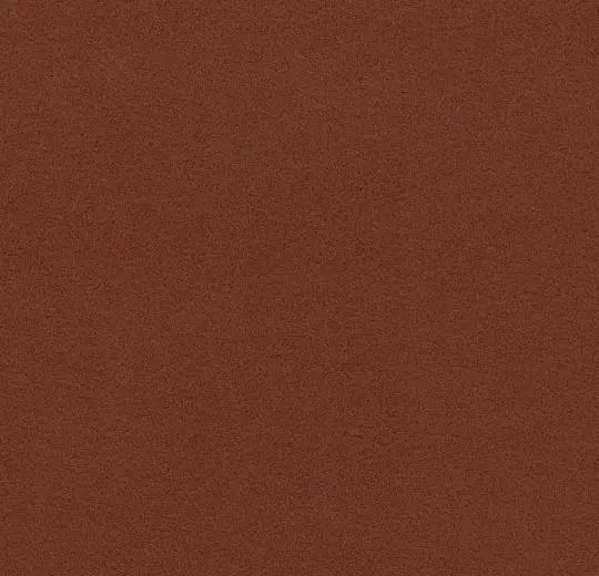 flotex borders – 211094/232094 cinnamon