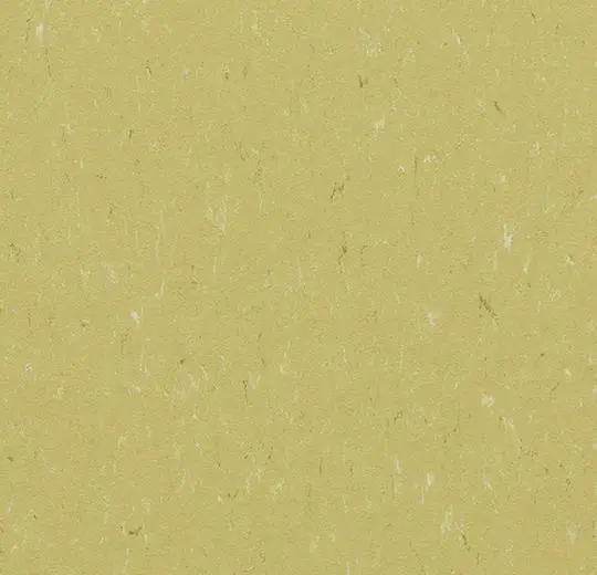 marmoleum decibel on order – 363435 meadow