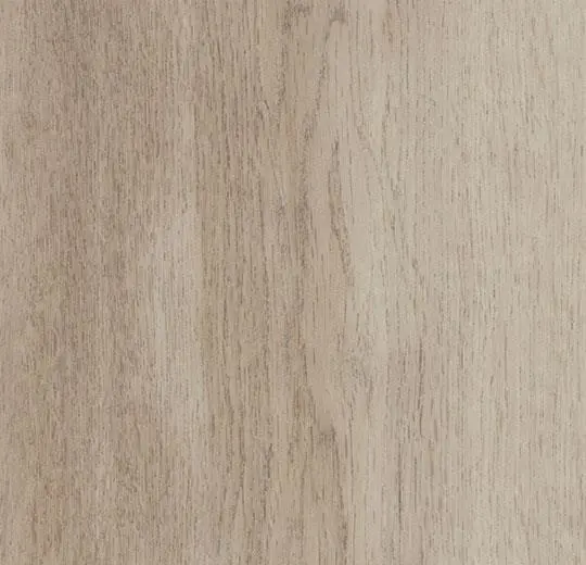 allura click pro – 60350CL5 white autumn oak