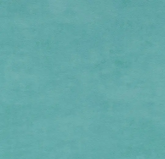 onyx + – 26548 teal accent
