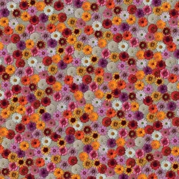 flotex vision image – 000538 multifloral