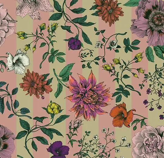 heterojen vinil floral – 270011E Dahlia stripe ecru pink