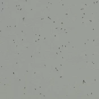 sphera energetic – 50216 pigeon