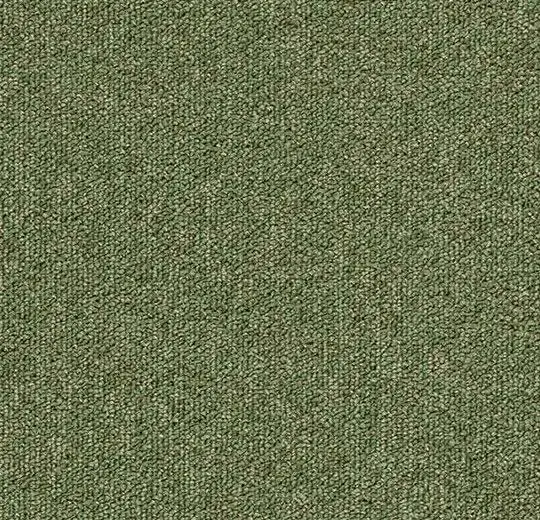 tessera basis pro – 4201 sage