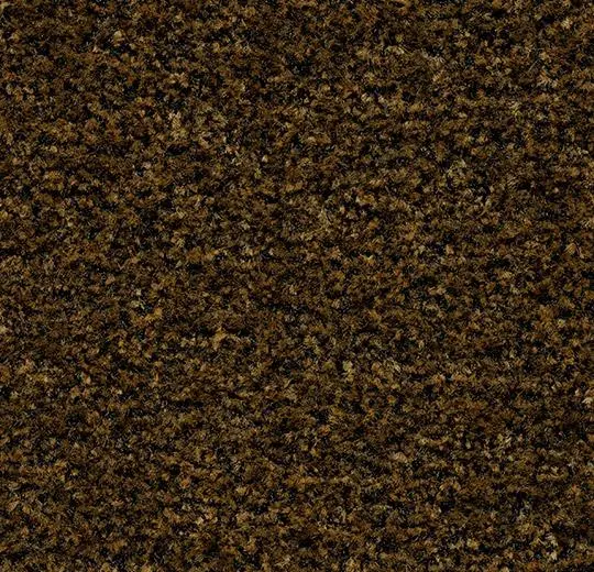 coral brush – 5736 cinnamon brown