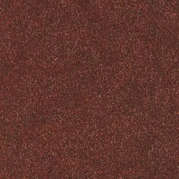 forte graphic rice – 97116