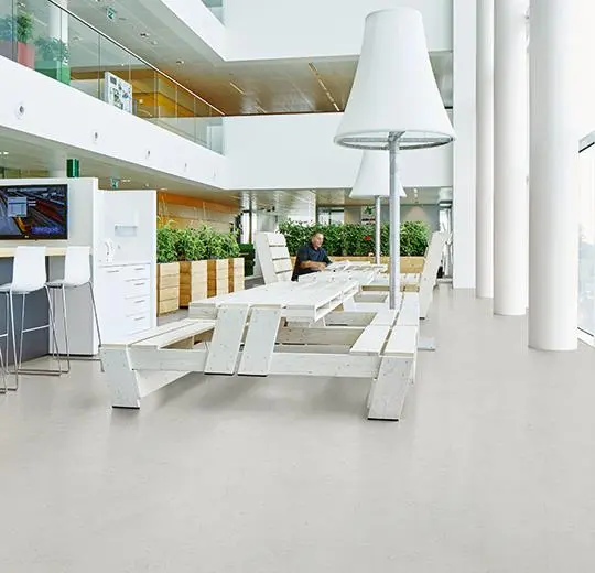 marmoleum decibel on order – 373235 asteroid