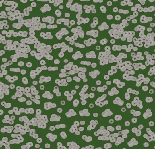flotex sottsass – 990403 Bacteria