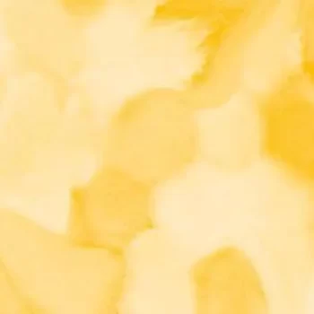 flotex vision floral – 001596 Welcome to Jupiter Yellow