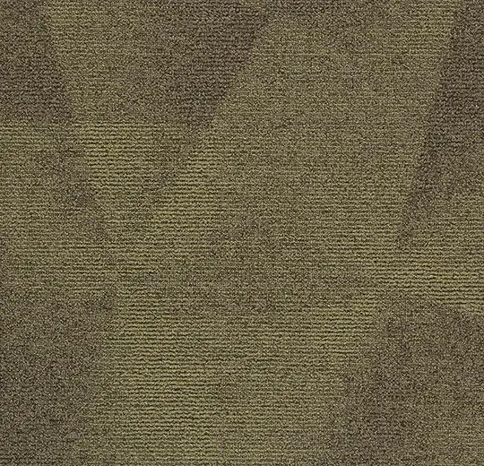 tessera diffusion – 2008 forest trail