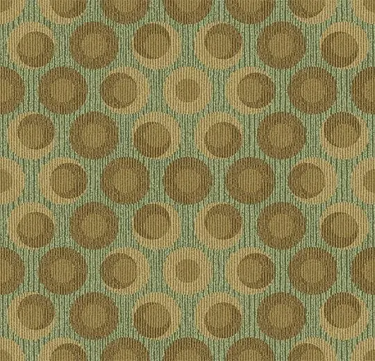 flotex vision shape – 810001 Orbit Spring