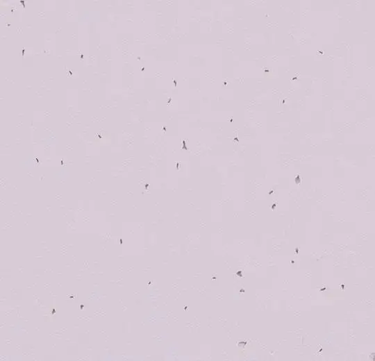 sphera energetic – 50234 lilac