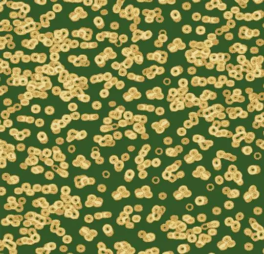 flotex sottsass – 990502 Bacteria