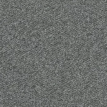 tessera chroma – 3604 elephant