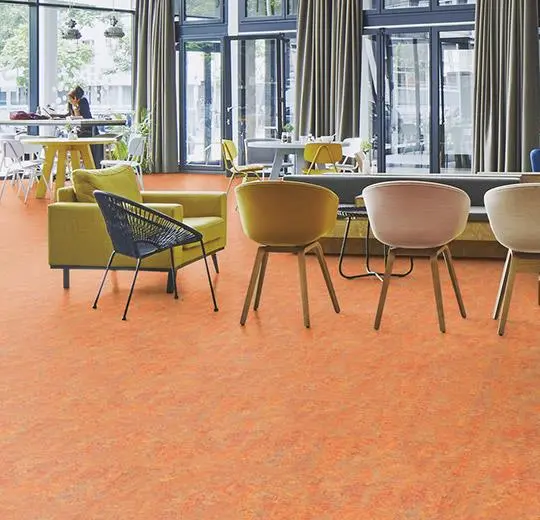marmoleum decibel on order – 340335 Asian tiger