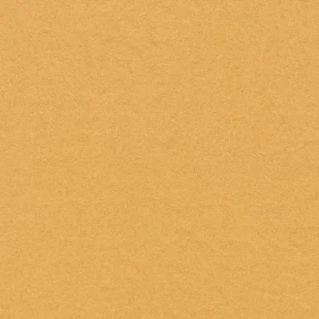 flotex borders – 211099/232099 gold