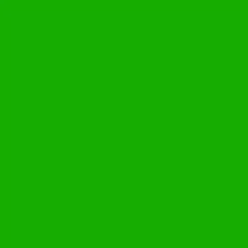 coral logo – 20