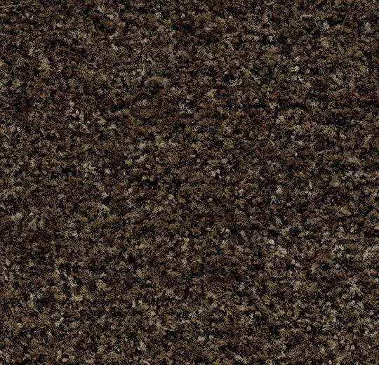 coral karo – 5774 biscotti brown