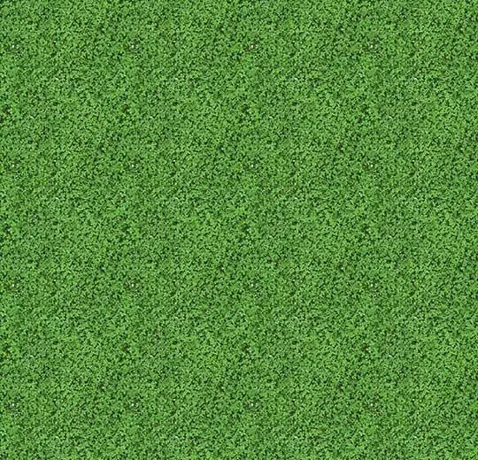 flotex vision image – 000430 shamrock