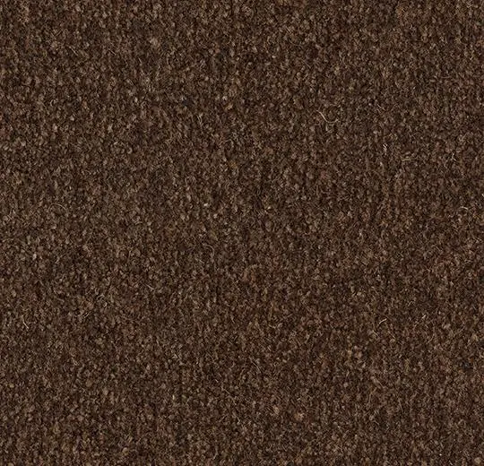 coral marine fr – 4226FR Tanger brown