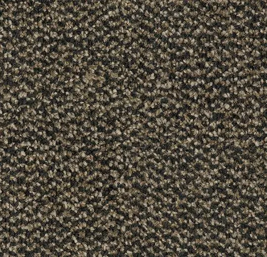 coral marine fr – 4204FR Santos brown
