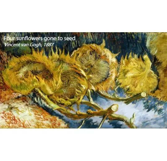 flotex vision pattern – 940 Sunflowers