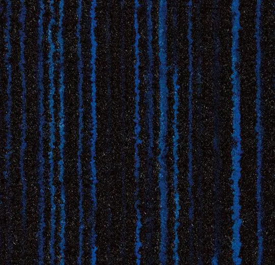 coral fr – 3207FR Coral Welcome FR blue velvet