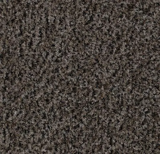 coral karo – 5714 shark grey