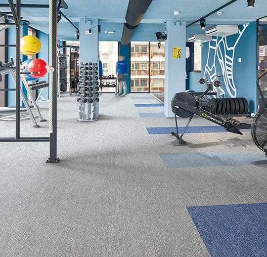 flotex colour karo – t545024 Canyon cloud