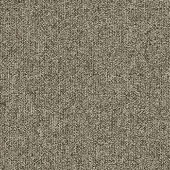 tessera basis pro – 4206 olea