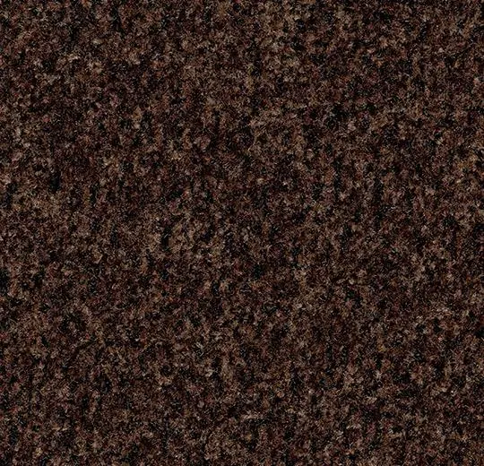 coral brush – 5724 chocolate brown