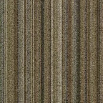 tessera barcode – 311 double yellow line
