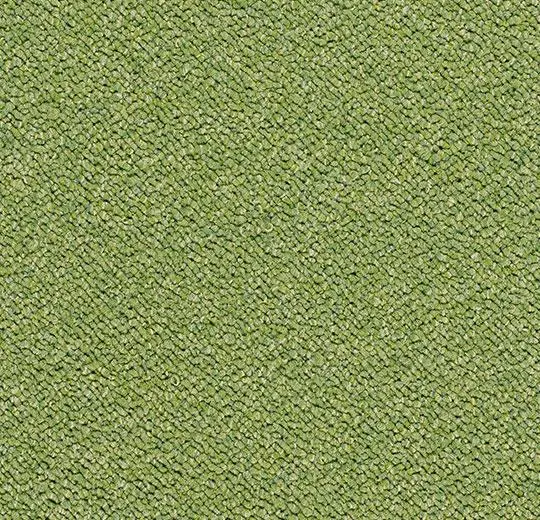 tessera chroma – 3617 botanical